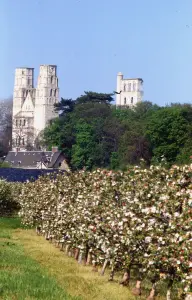 Abbazia in mezzo ai frutteti