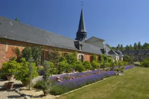 The orangery and the citrus collection of the Château d'Acquigny