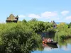Boat trip to discover and learn more about the flora and fauna of the Alsace ecomuseum