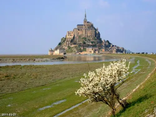 La baie du Mont-Saint-Michel - Printemps sur le Mont (© Jean Espirat)