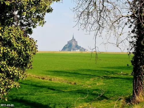 La baie du Mont-Saint-Michel - Le mont vu de la digue des polders (© Jean Espirat)