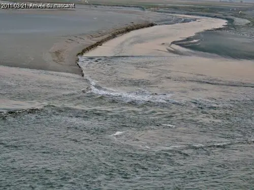 La baie du Mont-Saint-Michel - Le mascaret (© Jean Espirat)