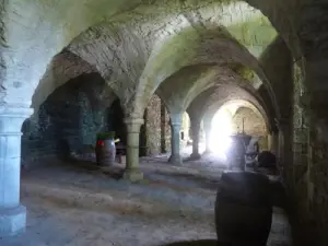 Abbaye maritime de Beauport, natural site