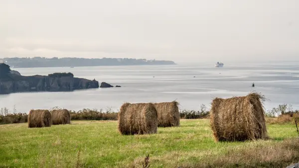 Campo y el mar