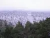 Erster Schnee auf dem Mont Ventoux