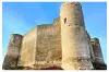 Château de Billy - Allier (© Gérard Charbonnel 2015)