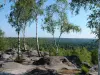 Bosque Fontainebleau