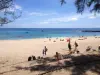 Swimming, diving and surfing in the anti-shark secure area