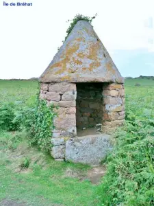 Old well covered? ( © Jean Espirat )