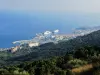 Pied du cap Corse côte est : Bastia 