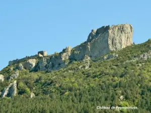 Castillo de Peyrepertuse (© J.E.)