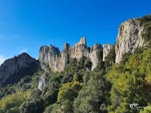 Peyrepertuse