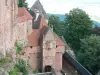 Le château du Haut-Koenigsbourg - Haut-Koenigsbourg (© Frantz)