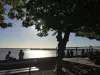 La place d'Armes avec vue sur l'estuaire