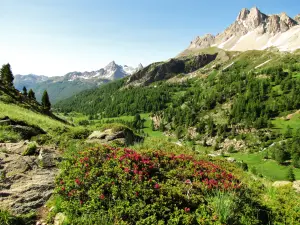 Haute Clarée: amount lakes of Muandes