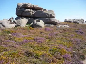 Rochers dans les landes de Ploumanac'h