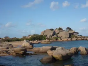 Pointe île Renote à Trégastel