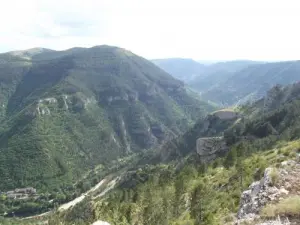 Panorama sur les gorges du Tarn