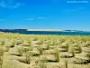 La dune du Pilat - La dune vue du cap Ferret (© Jean Espirat)