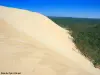 La dune du Pilat - Côté Est de la dune (© Jean Espirat)