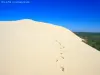 La dune du Pilat - Immensité de sable (© Jean Espirat)