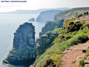 Cap Fréhel - La Grande Fauconnière (© Jean Espirat)