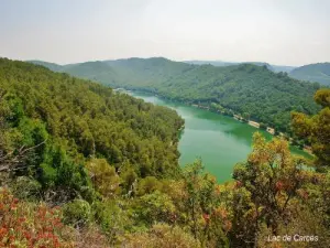 Lake of carcasses seen from Belvedere (© Jean Espirat)