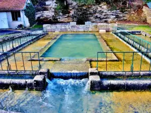 Esprels - Fontaine - Saint- wash Desle ( © Jean Espirat )