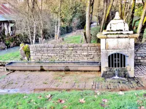 Mollans - Fontaine - lavaggio Buriot ( © Jean Espirat )