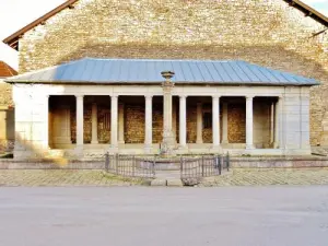 Mollans - Fontaine- lavaggio del centro ( © Jean Espirat )