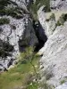 L'Agly digging the bottom of the gorges of Galamus