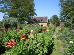 giardino fiorito