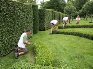 giardinieri di lavoro