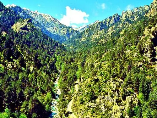 Les gorges de la Restonica - Moyenne vallée de la Restonica - Route et rivière (© J.E)