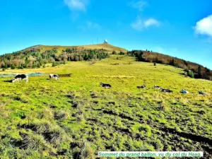 collo visto Summit Grand Ballon Haag ( © Jean Espirat )