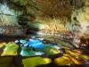 Grotte Saint-Marcel - Gorges de l'Ardèche