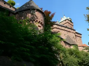 Haut-Koenigsbourg (© Frantz)