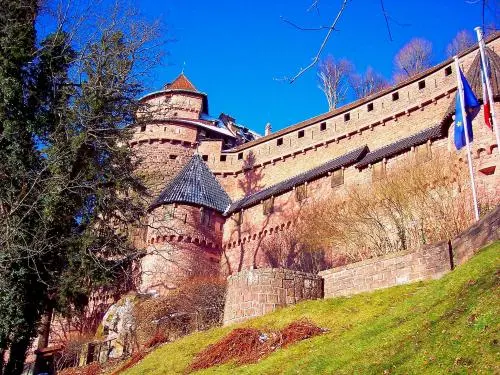 Haut-Koenigsbourg (© JE)