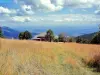 Chaume du Querty - Ballon d'Alsace-regio (© Jean Espirat)