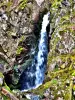 Waterval Saut de la Truite - Ballonroute van de Elzas (© JE)