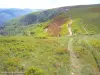 Panorama sur le sentier des névés (© Jean Espirat)