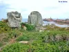 L'Île de Bréhat - Au-delà des rochers, le phare du Paon (© Jean Espirat)