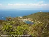 Port Cros vu du sentier de la Pomme d'Or (© Jean Espirat)