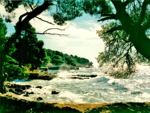 Côte sud-ouest de l'île Saint-Honorat (© J.E)