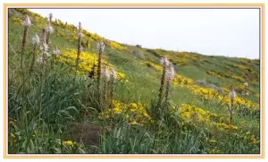 Landschaft im Frühjahr