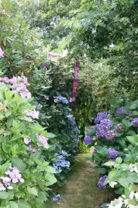 Jardins des Renaudies, parc floral à Colombiers-du-Plessis