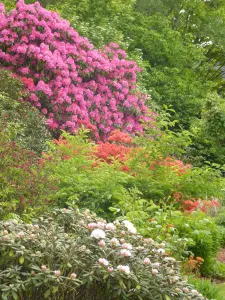 Jardins des Renaudies, parc floral à Colombiers-du-Plessis