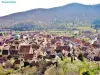 Panorama from the top of the castle tower (© Jean Espirat)