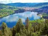 Gérardmer lake seen from the Mérelle tower (© Jean Espirat)