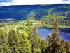 Downstream side of the lake seen from the Mérelle tower (© Jean Espirat)